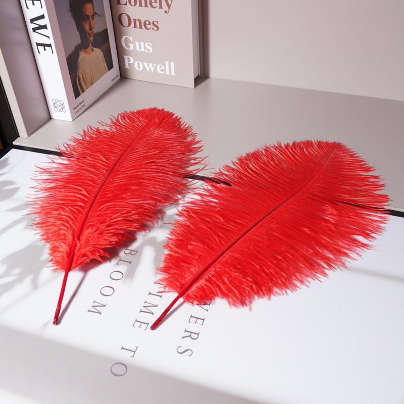 Shekyeon 16-18inch Red Ostrich Feathers DIY Craft Large Feather for Wedding Party Centerpicecs Flower Arrangement and Easter Gatsbi Decortion Pack of 10 - Image 4